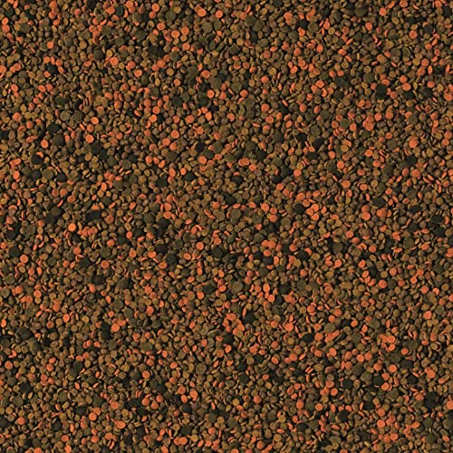 tropical-bionautic-granulat-futter-f-r-kleine-bis-mittelgro-e-meerwasserfische-5 image 4