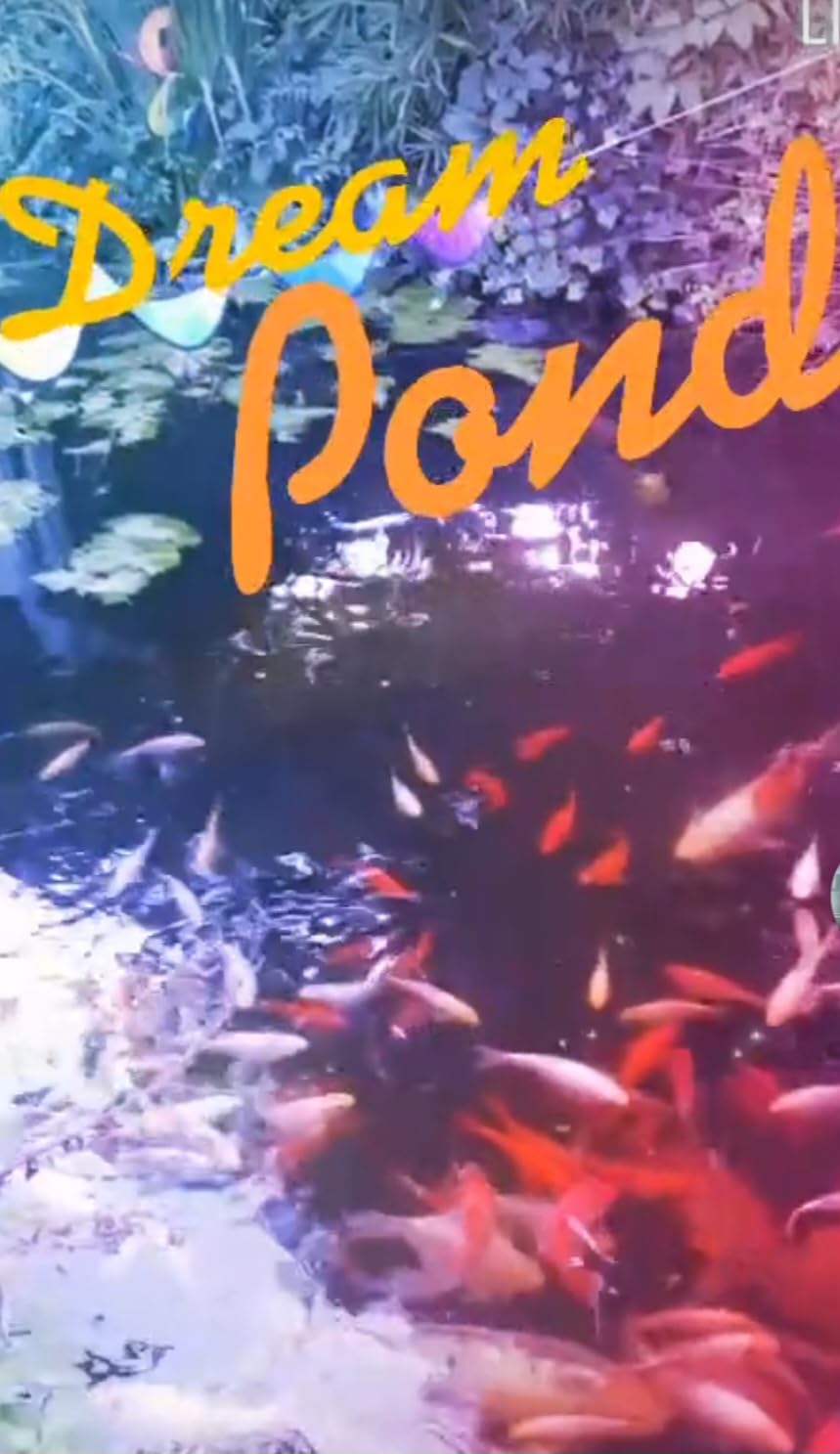 Fische sind verrückt danach