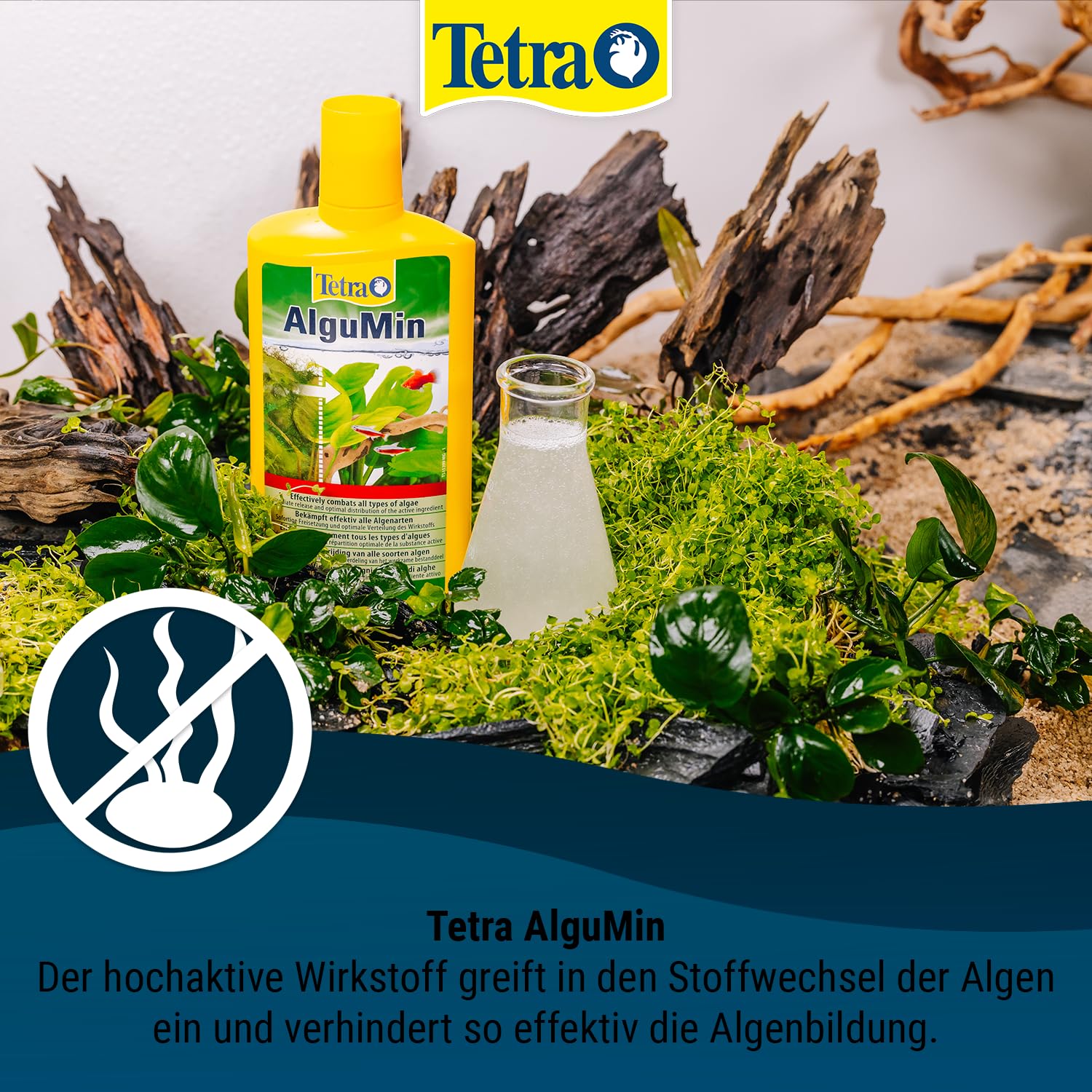 tetra-algumin-100-ml-anti-algen-mittel-f-r-s-wasseraquarium image 2
