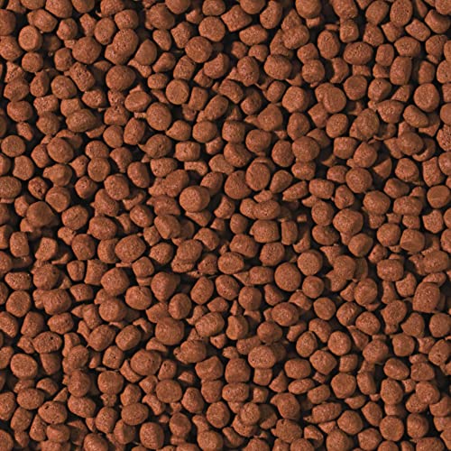 tropical-cichlid-carnivore-pellet-m-10l-schwimmendes-farbfutter-f-r-fleischfress image 4