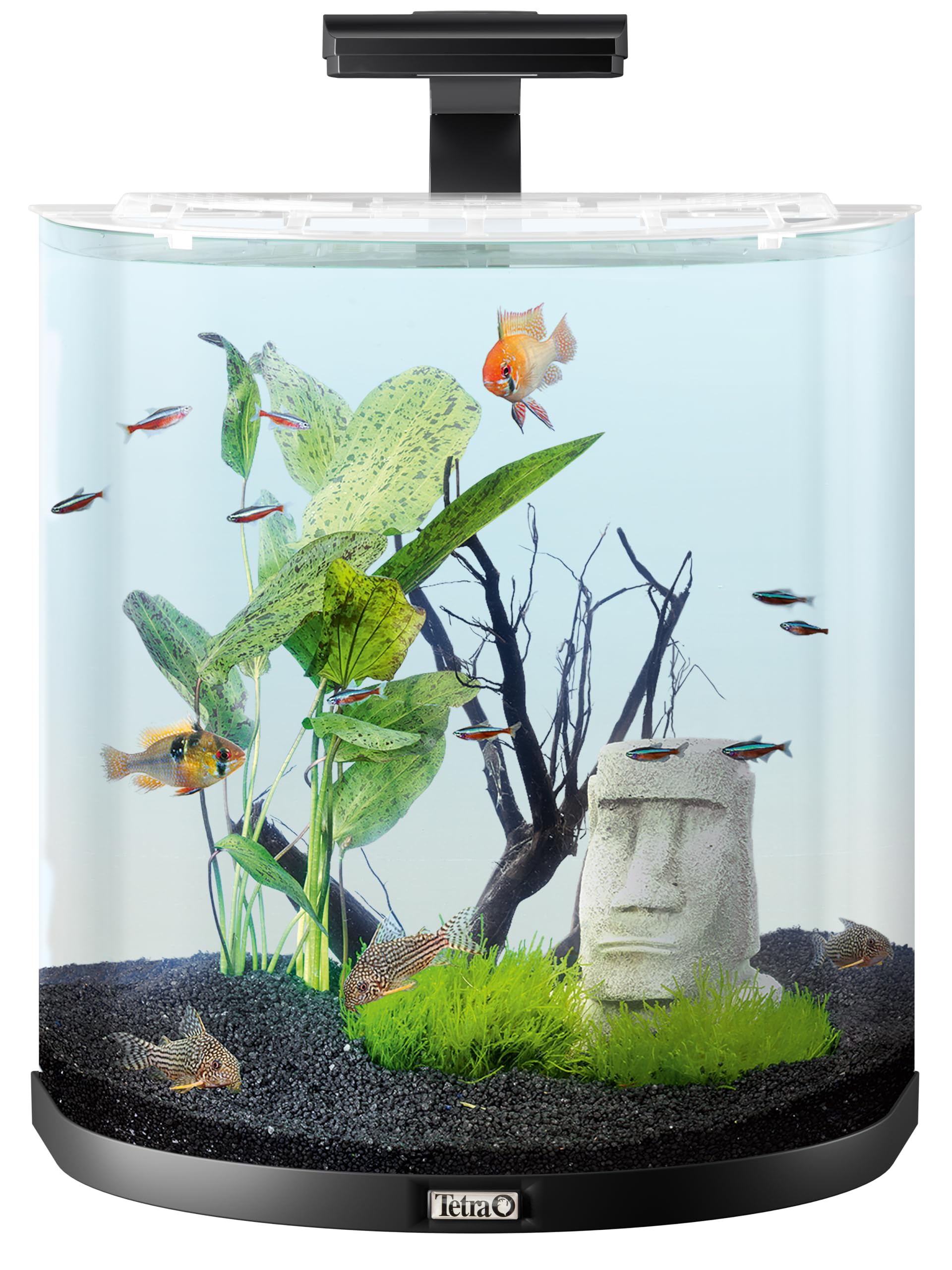 tetra-explorer-line-30-l-aquarium-komplett-set-schwarz-half-moon image 4