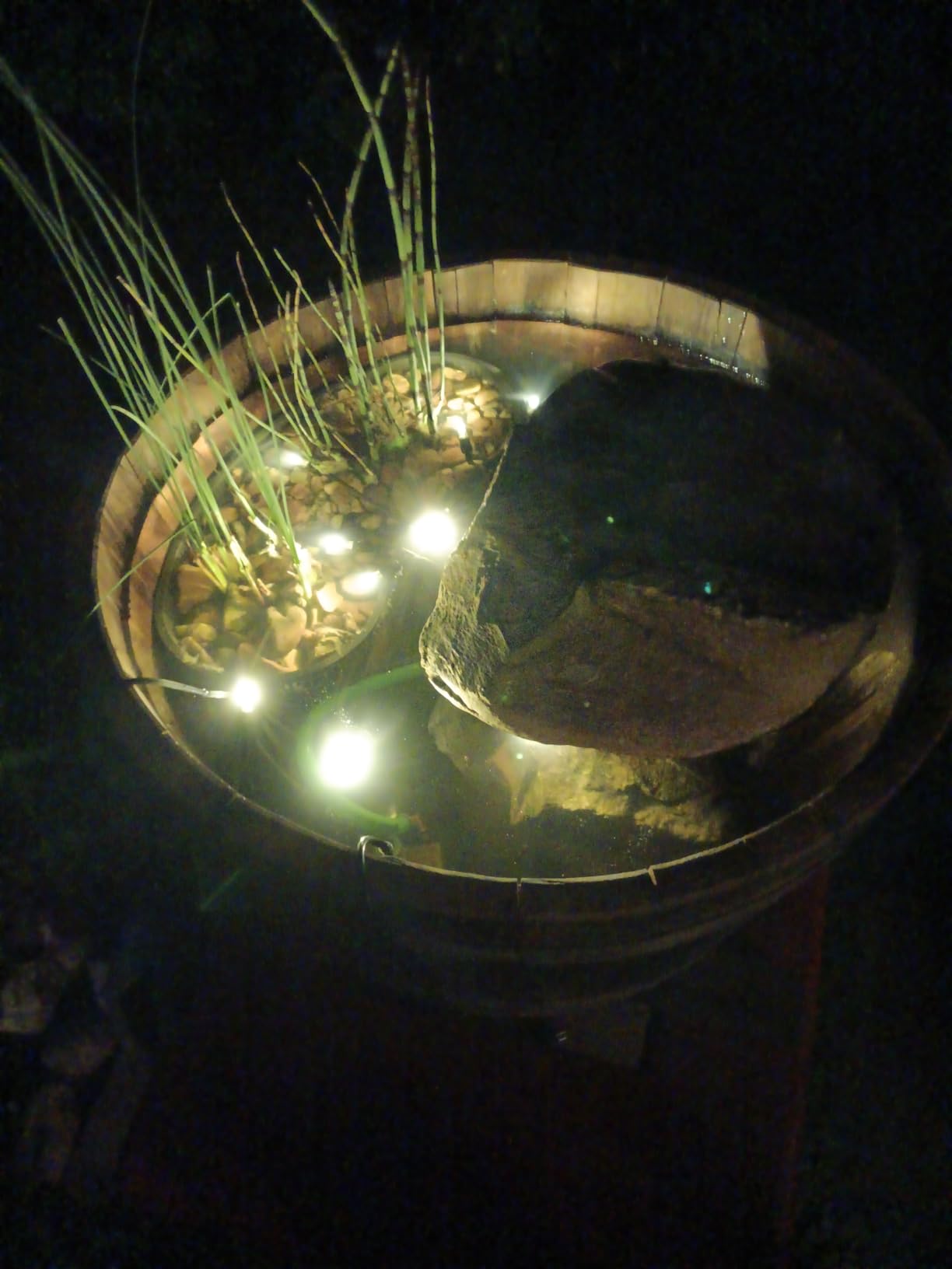 Zauberhaft am Abend