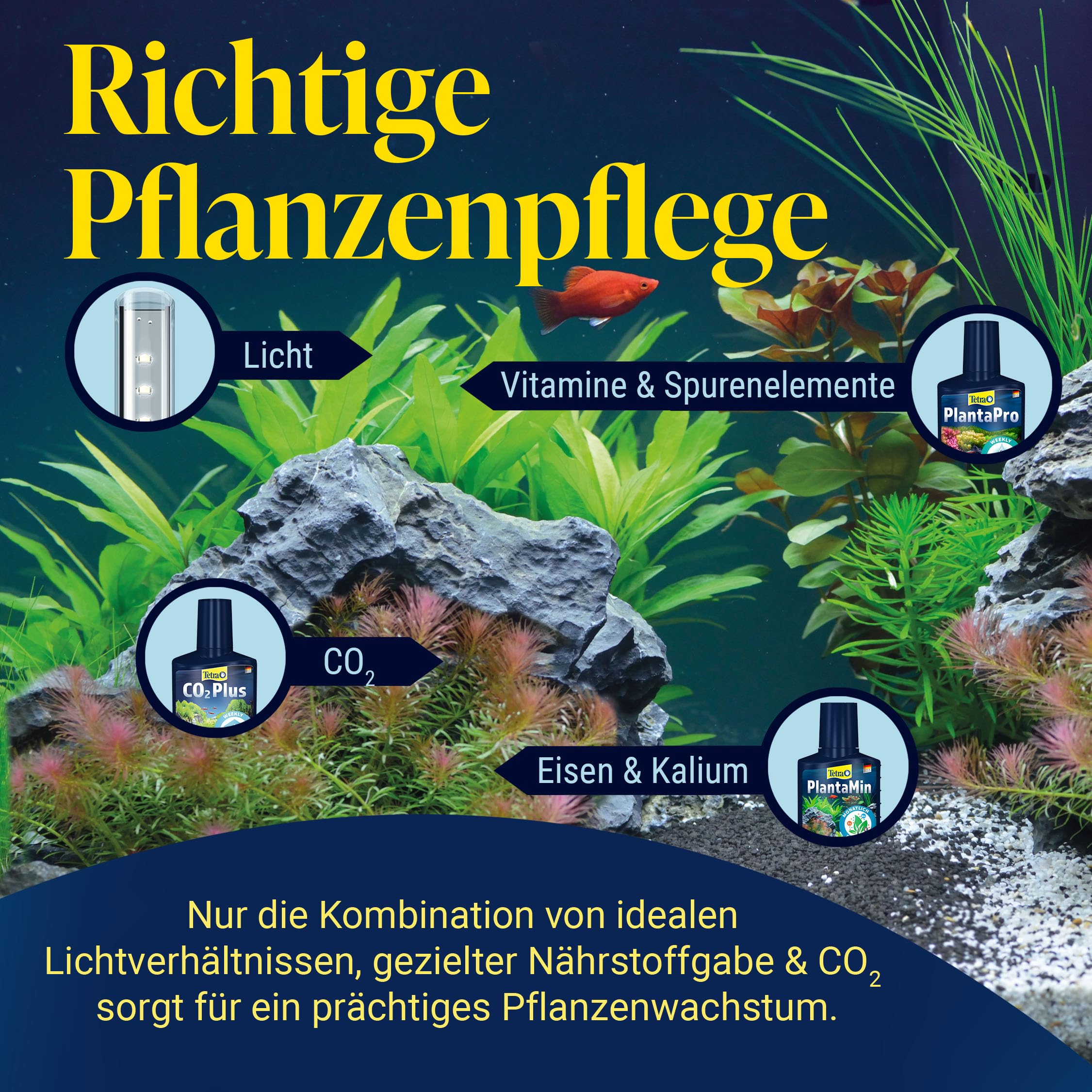 tetra-co2-optimat-co2-pflanzenpflege-set-f-r-aquarien image 8