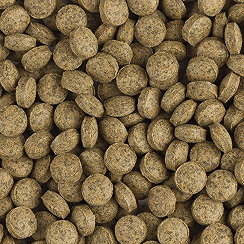 tropical-vege-tablet-b-pflanzenfutter-hafttabletten-f-r-bodenfische-1-kg image 1