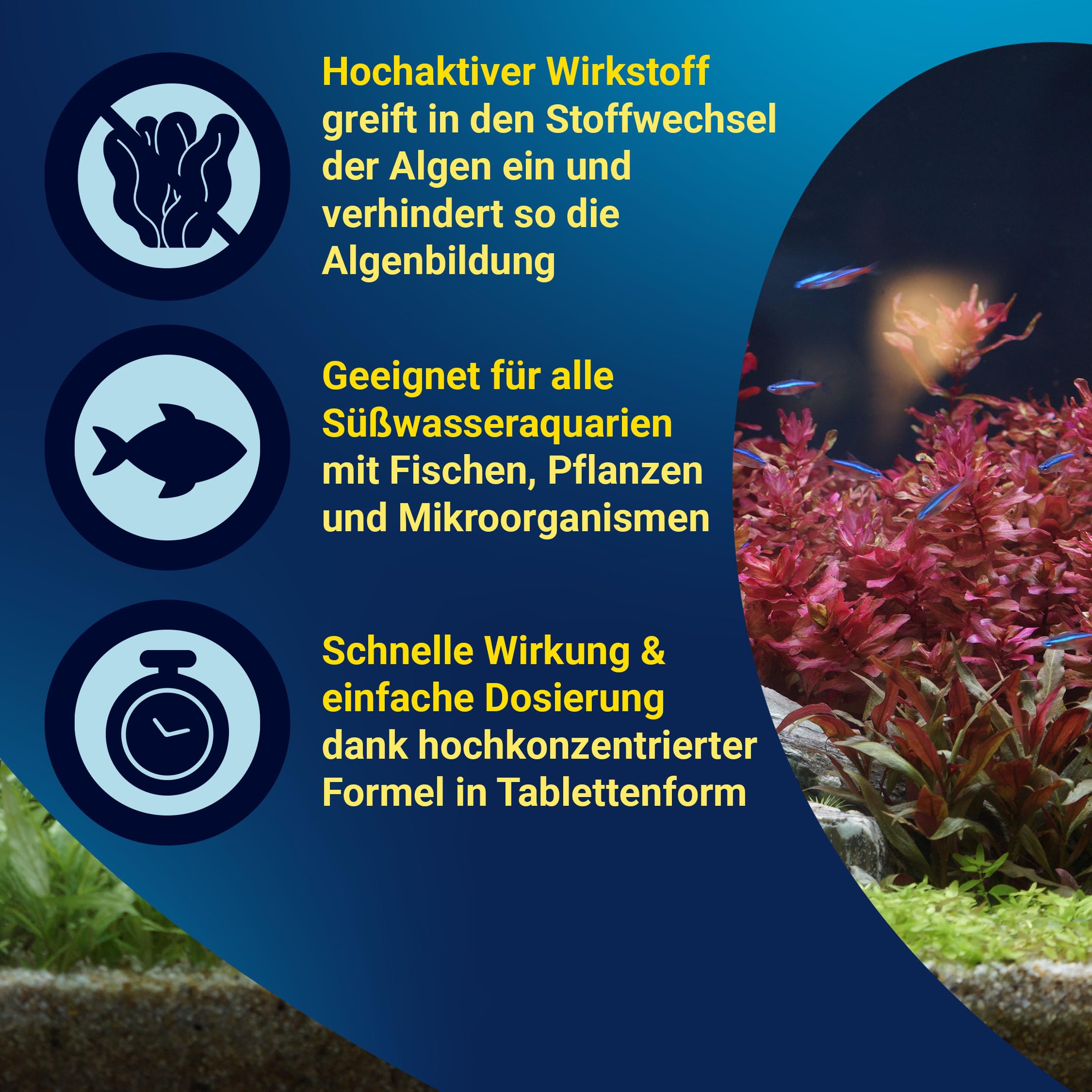 tetra-algizit-10-tabletten-algenbek-mpfungsmittel-gegen-starken-algenwuchs-ohne- image 4