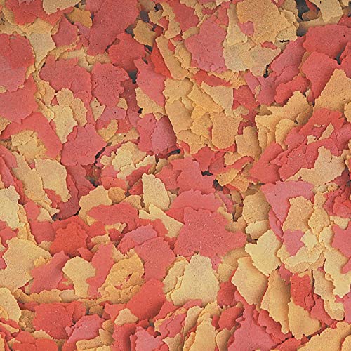 tropical-ovo-vit-eier-flockenfutter-1000-g-f-r-wachstum-und-laichbereitschaft image 4