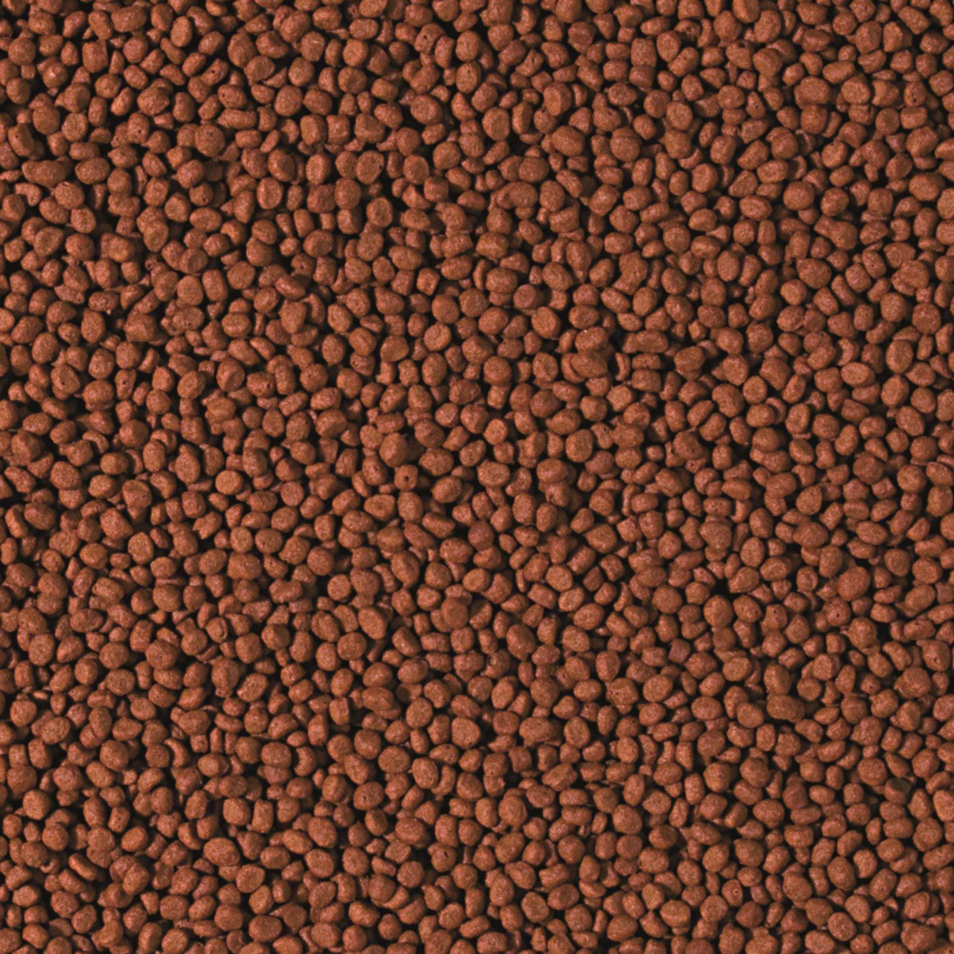 tropical-cichlid-carnivore-small-pellet-5-l-raubfischfutter image 2