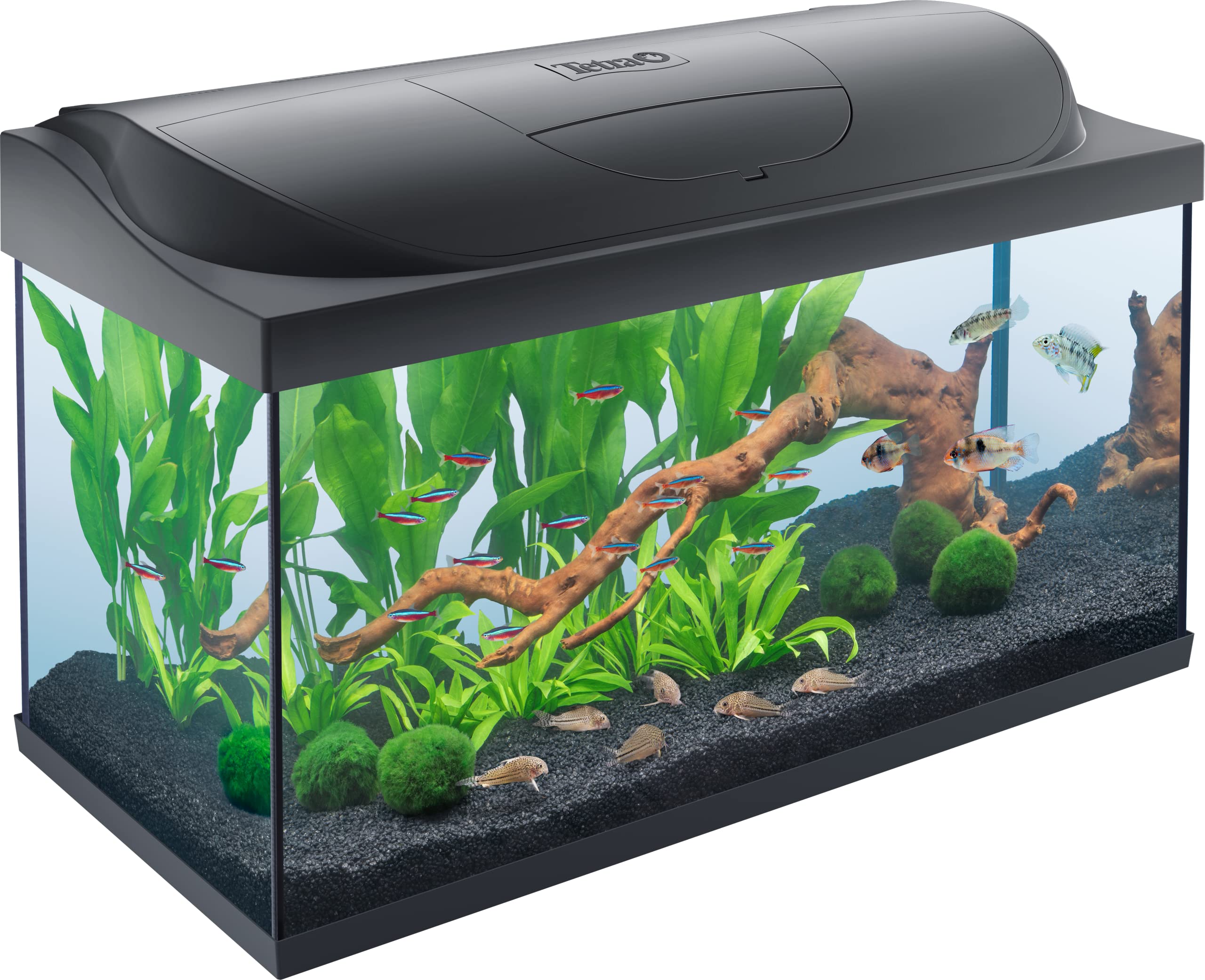 tetra-starter-line-54-l-aquarium-komplett-set-led-schwarz-60x30x30-cm image 8