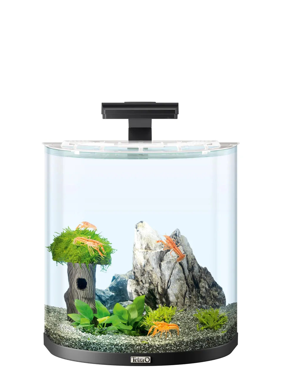 tetra-explorer-line-30-l-aquarium-komplett-set-schwarz-half-moon image 1