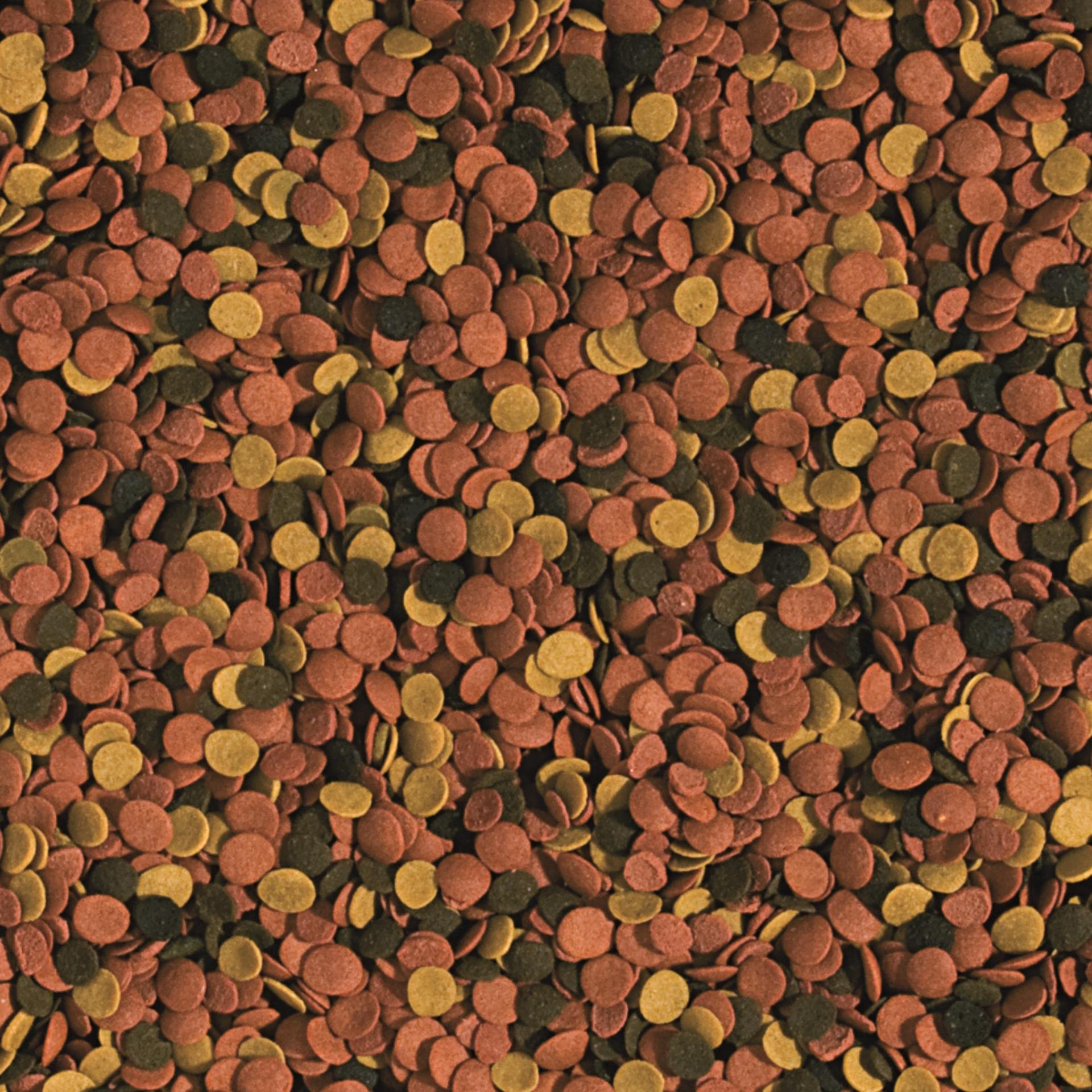 tropical-supervit-chips-5000-g-sinkende-chips-f-r-allesfresser image 2