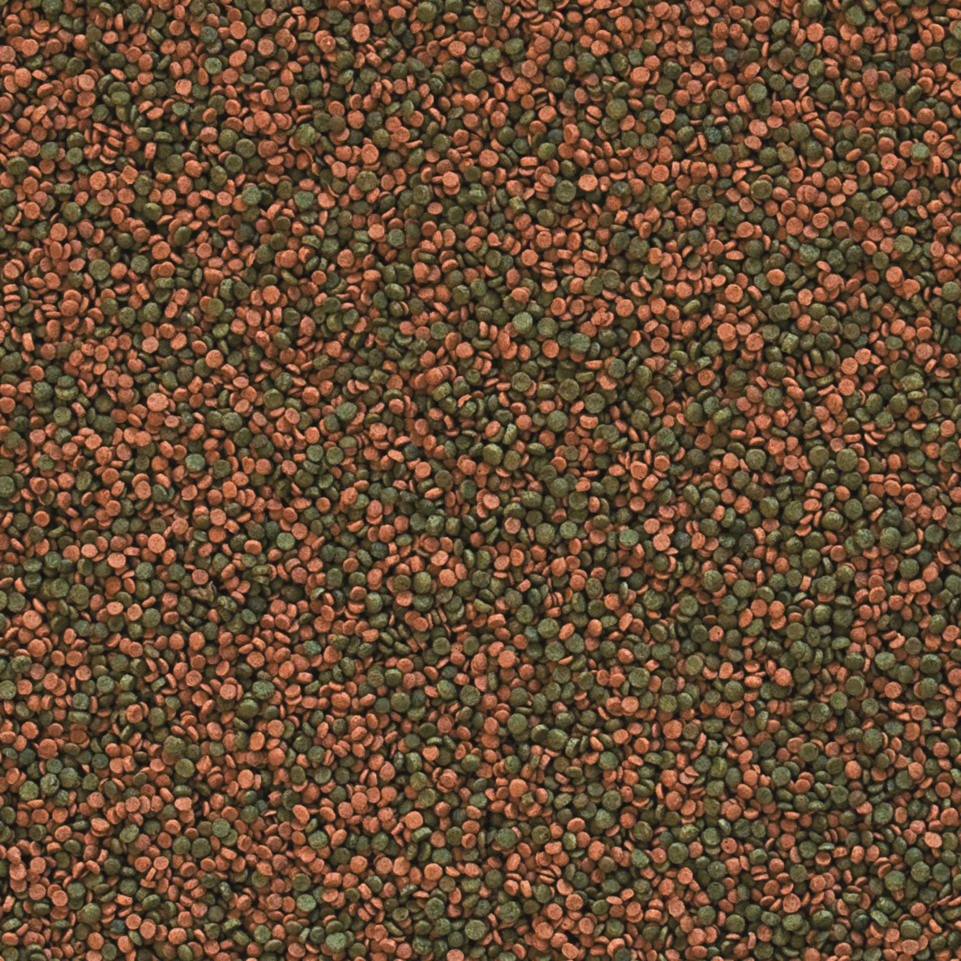 tropical-cichlid-gran-farb-granulat-mit-beta-glucan-5-liter image 2