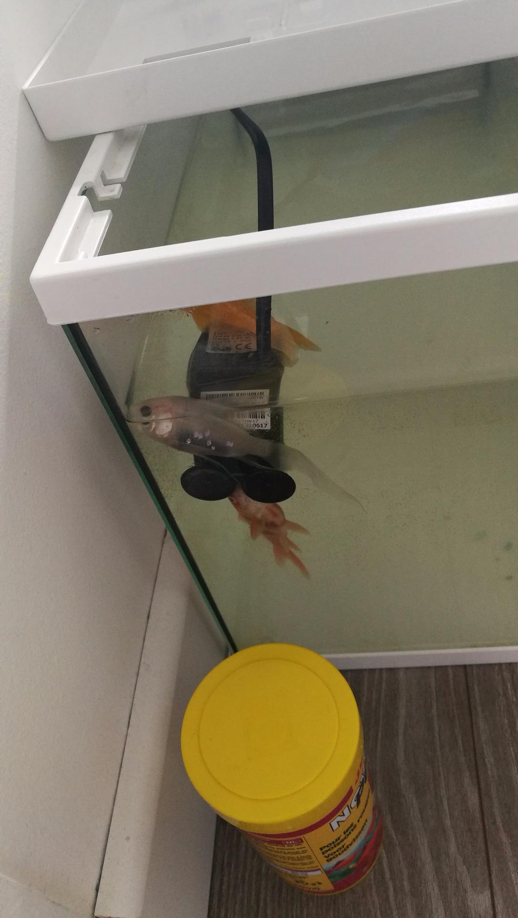 Flüsterleise im Schlafzimmer