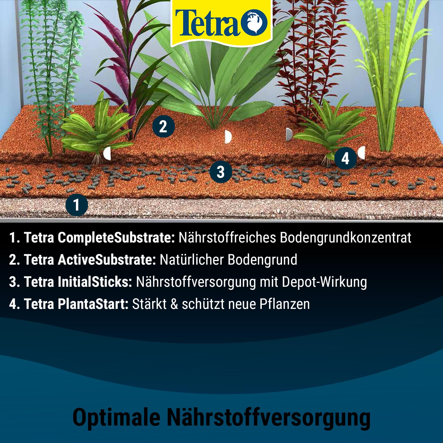 tetra-initial-sticks-d-ngest-bchen-250-ml-bodengrund-d-nger image 5
