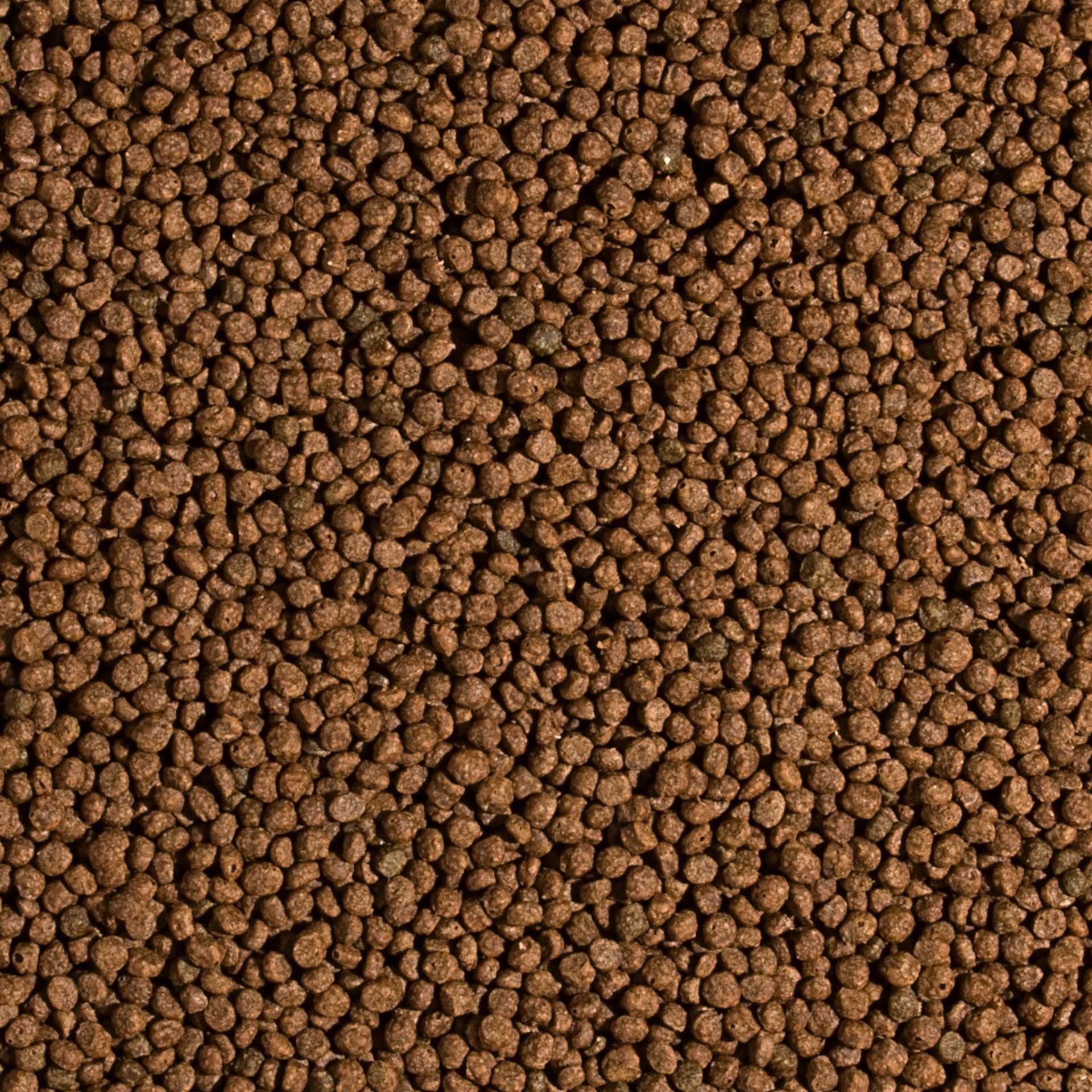 tropical-koi-wheat-germ-garlic-pellet-size-s-1000-ml-320-g-koifutter-8-30-c image 2