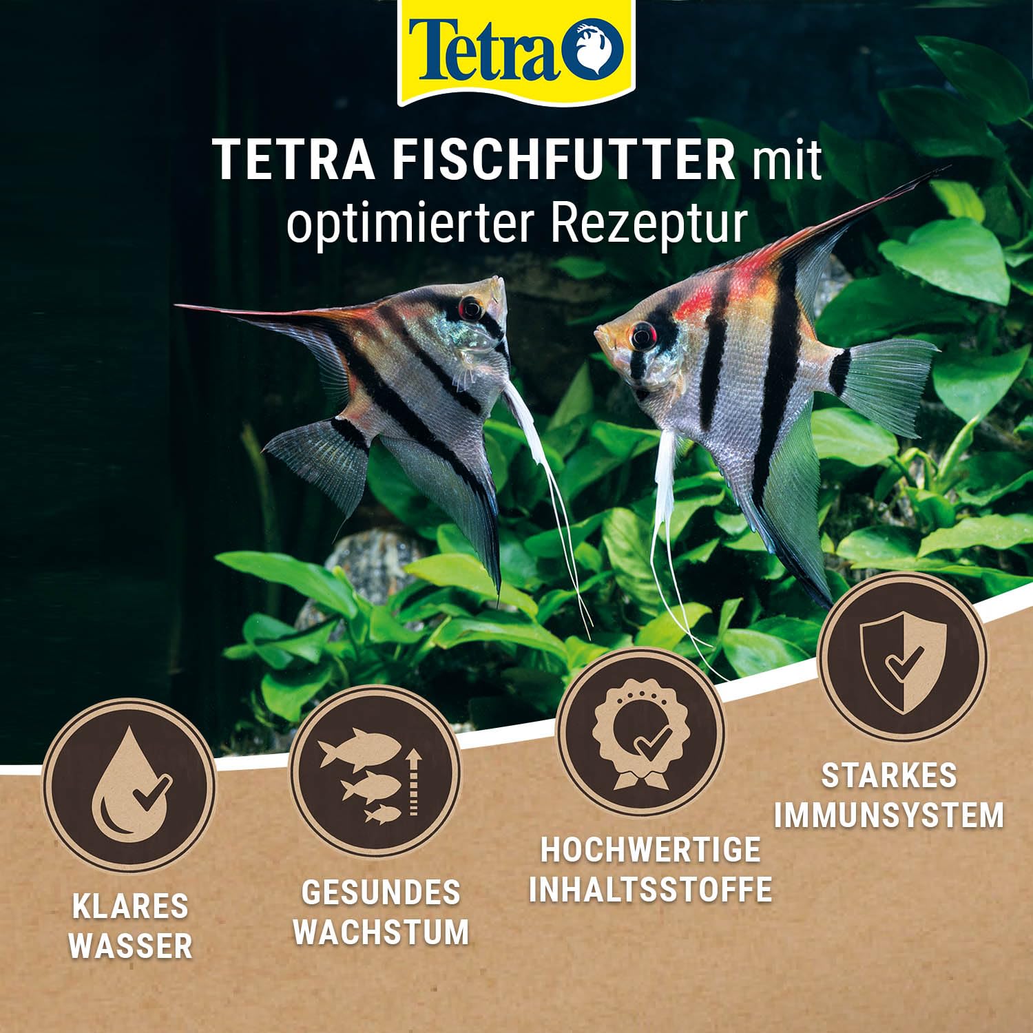 tetra-betta-flakes-kampffisch-flockenfutter-100-ml-dose image 5
