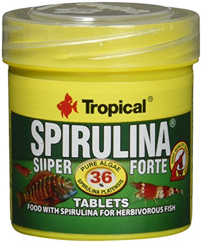 tropical-super-spiru-tabin-a-hafttabletten-mit-36-spirulina-50-ml image 3