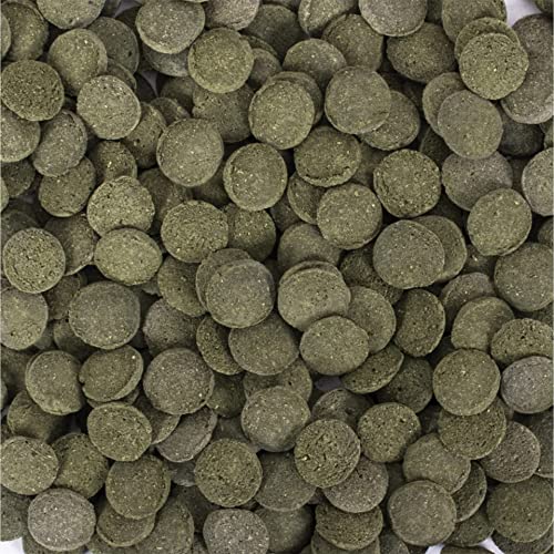 tropical-hi-algae-discs-1-cm-bodenfutter-3-l-f-r-bodenfische image 4