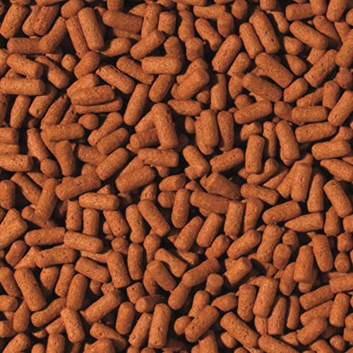 tropical-cichlid-arowana-large-sticks-10-000-ml-gro-sticks-mit-vitamin-c-f-r-cic image 4