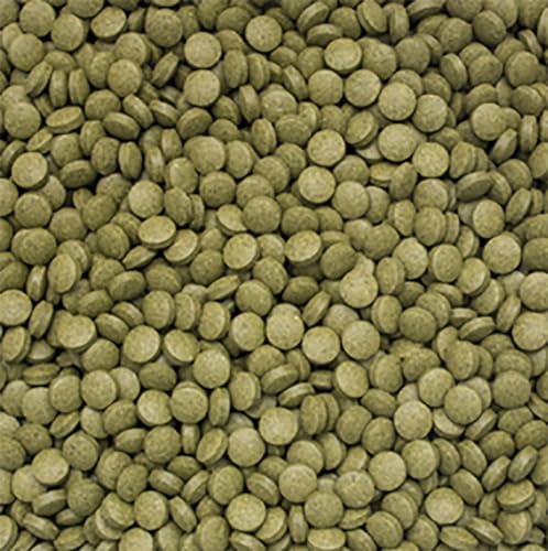 tropical-3-algae-tablets-b-250-ml-sinkende-algen-bodentabletten image 4