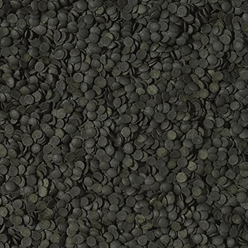 tropical-super-spirulina-forte-chips-36-250-ml-130-g-fischfutter image 4