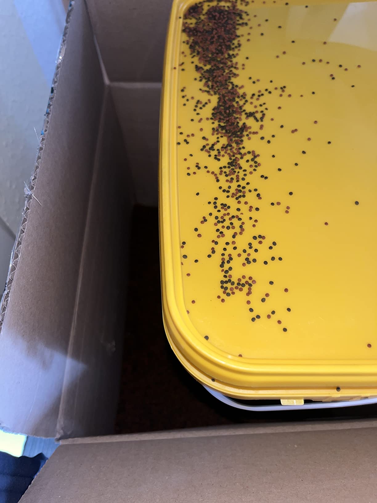 Farben explodieren