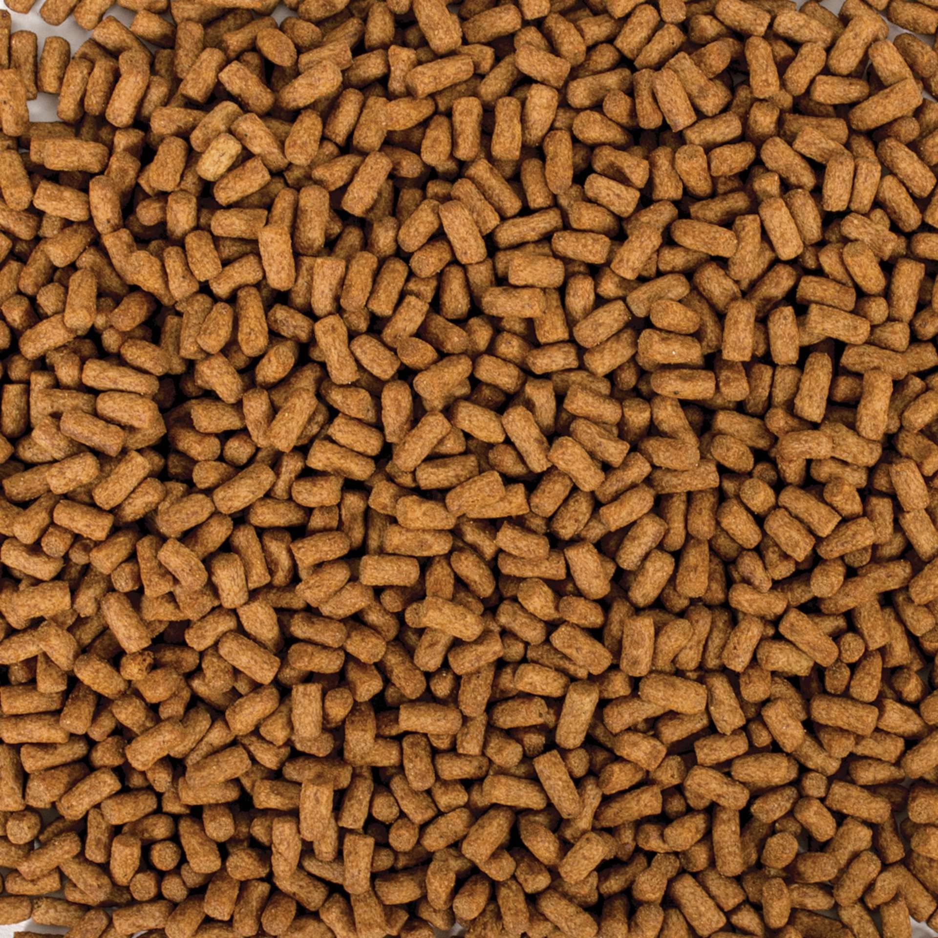 tropical-biorept-supreme-young-schildkr-tenfutter-100-ml image 2