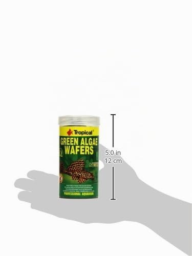 tropical-green-algae-wafers-welschips-250-ml-f-r-pflanzenfressende-bodenfische image 5