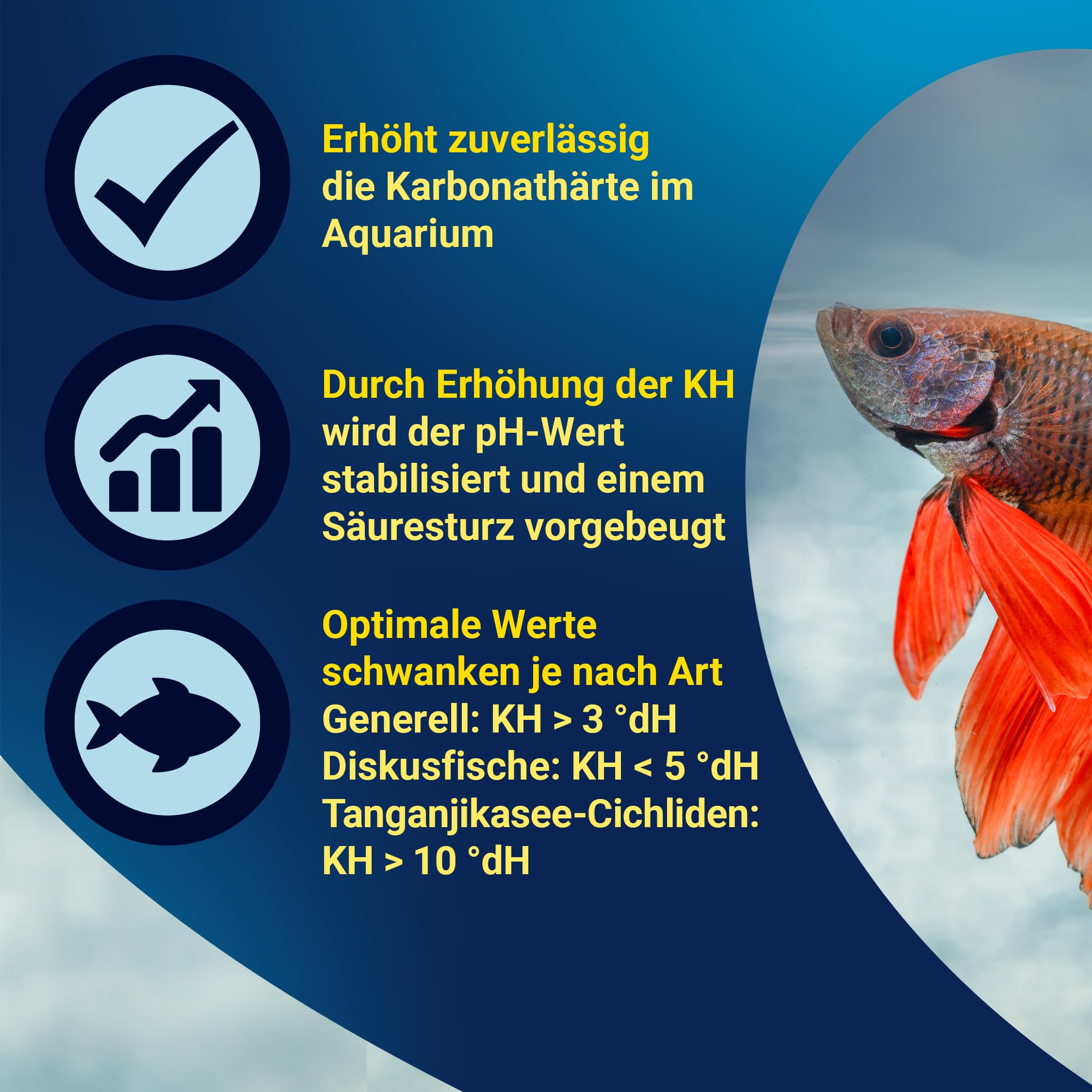 tetra-ph-kh-plus-wasseraufbereiter-250-ml-f-r-1-000-liter image 4
