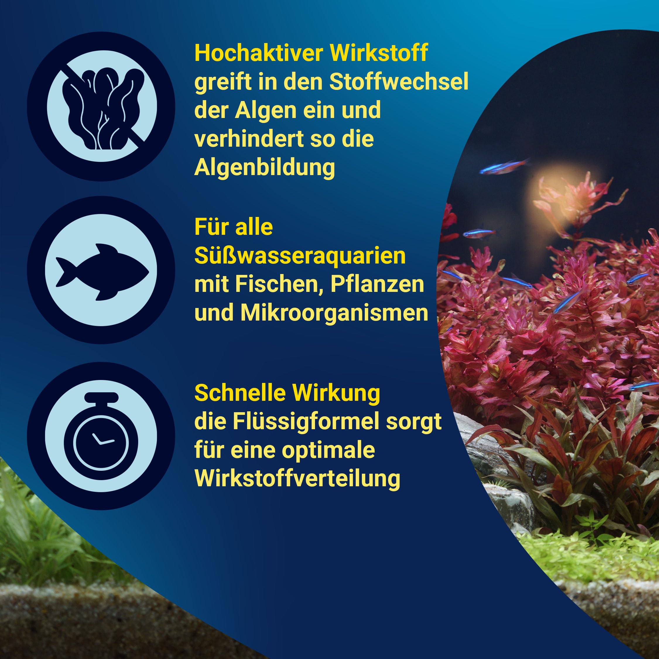 tetra-algumin-algenbek-mpfer-500-ml-flasche image 4
