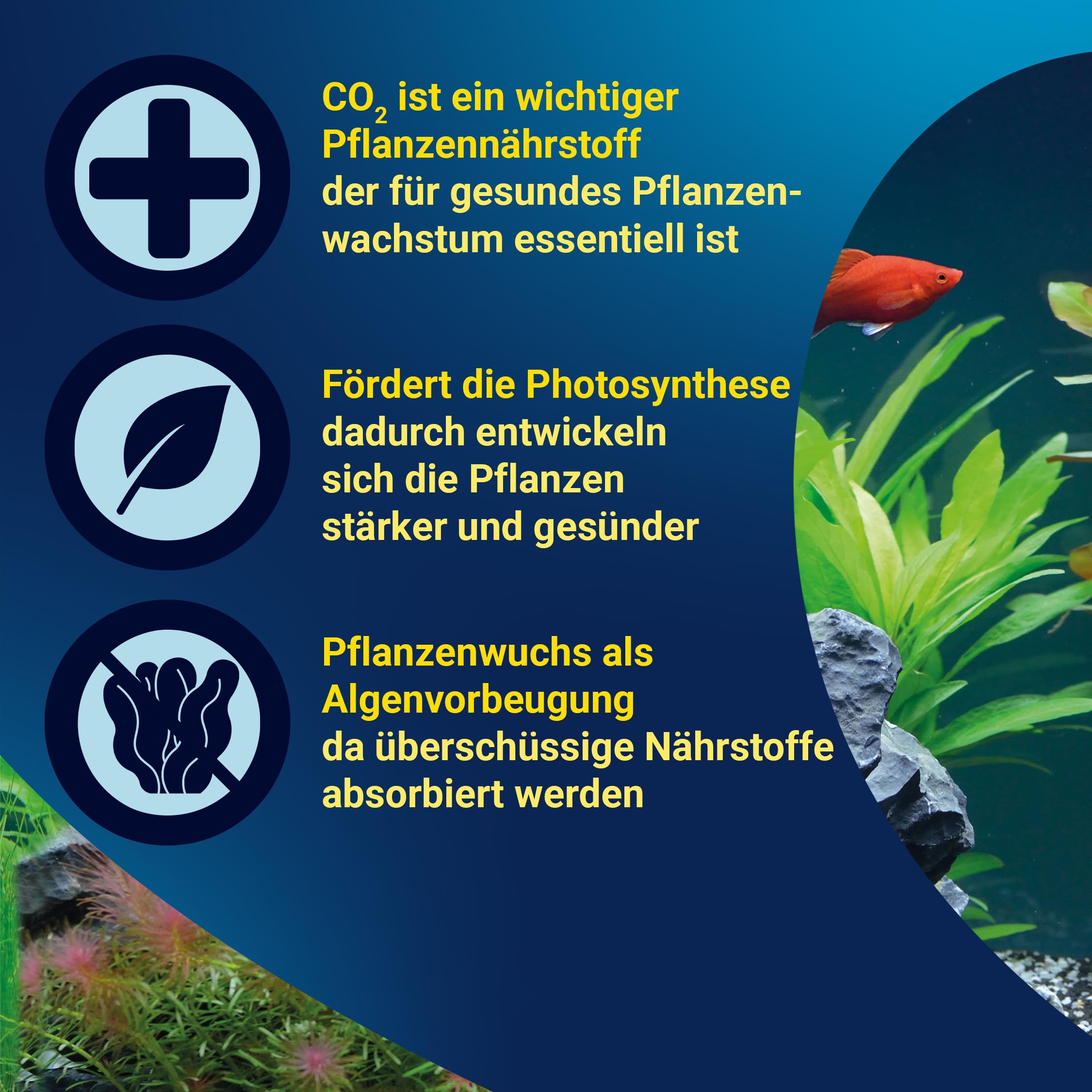 tetra-co2-optimat-co2-pflanzenpflege-set-f-r-aquarien image 4