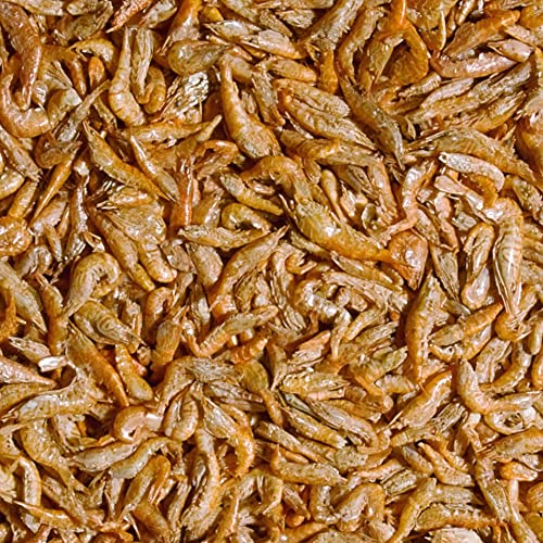 tropical-river-shrimps-getrocknete-flussgarnelen-250-ml-40-g-f-r-reptilien-und-f image 5