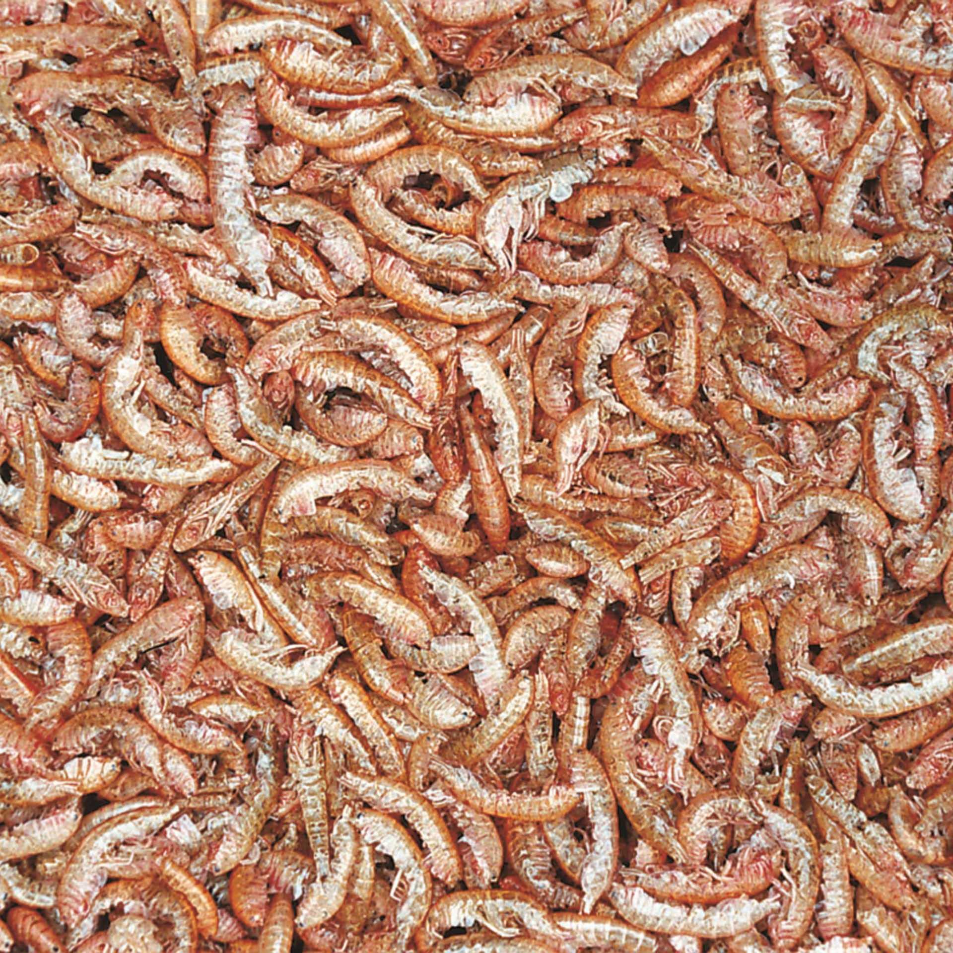 tropical-gammarus-getrocknete-bachflohkrebse-100-ml-f-r-schildkr-ten-und-fische image 2