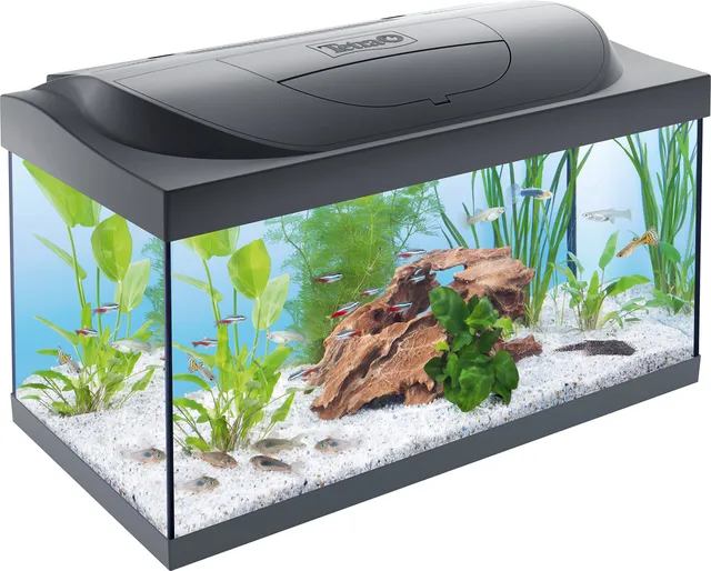 tetra-starter-line-54-l-aquarium-komplett-set-led-schwarz-60x30x30-cm image 1