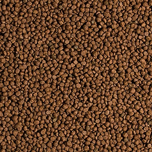 tropical-koi-wheat-germ-garlic-pellet-size-s-1000-ml-320-g-koifutter-8-30-c image 5