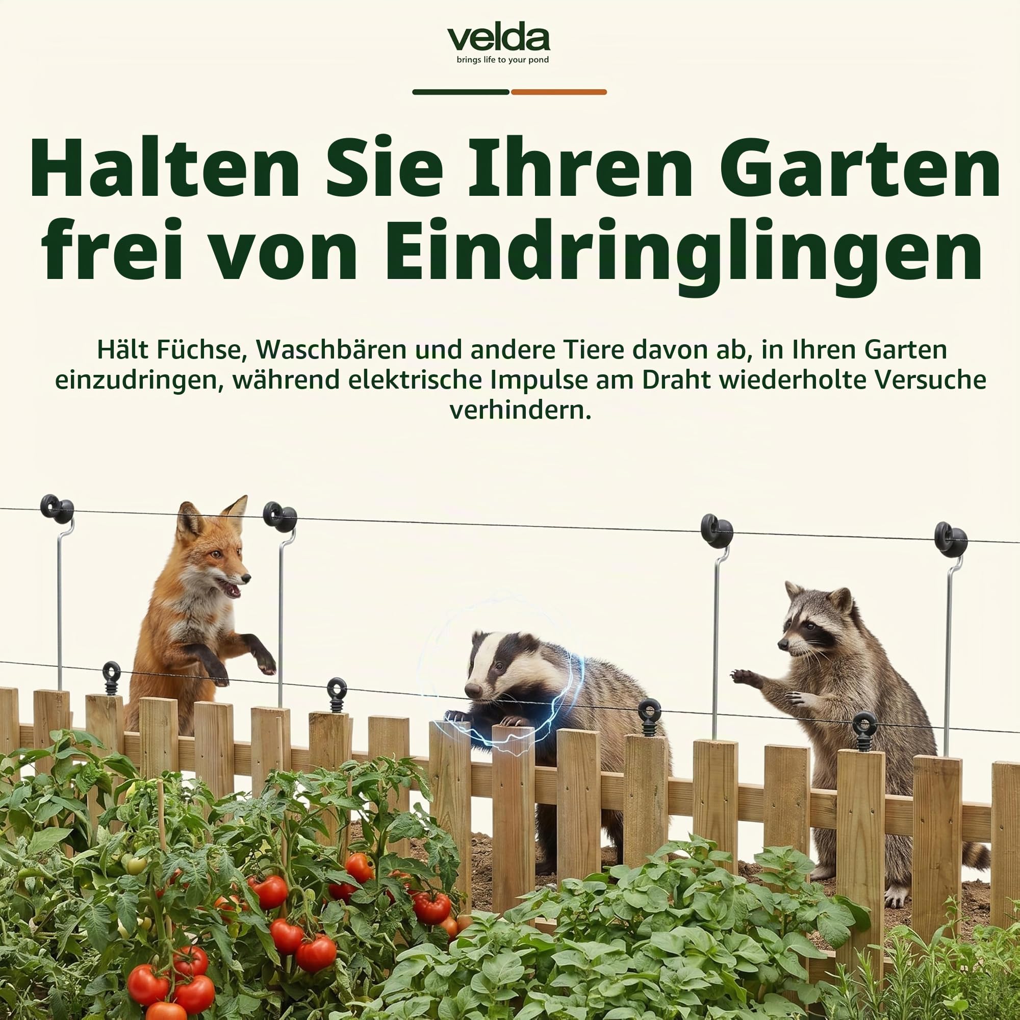 velda-garden-protector-elektrozaun-komplett-set-40-m-reiherabwehr image 5