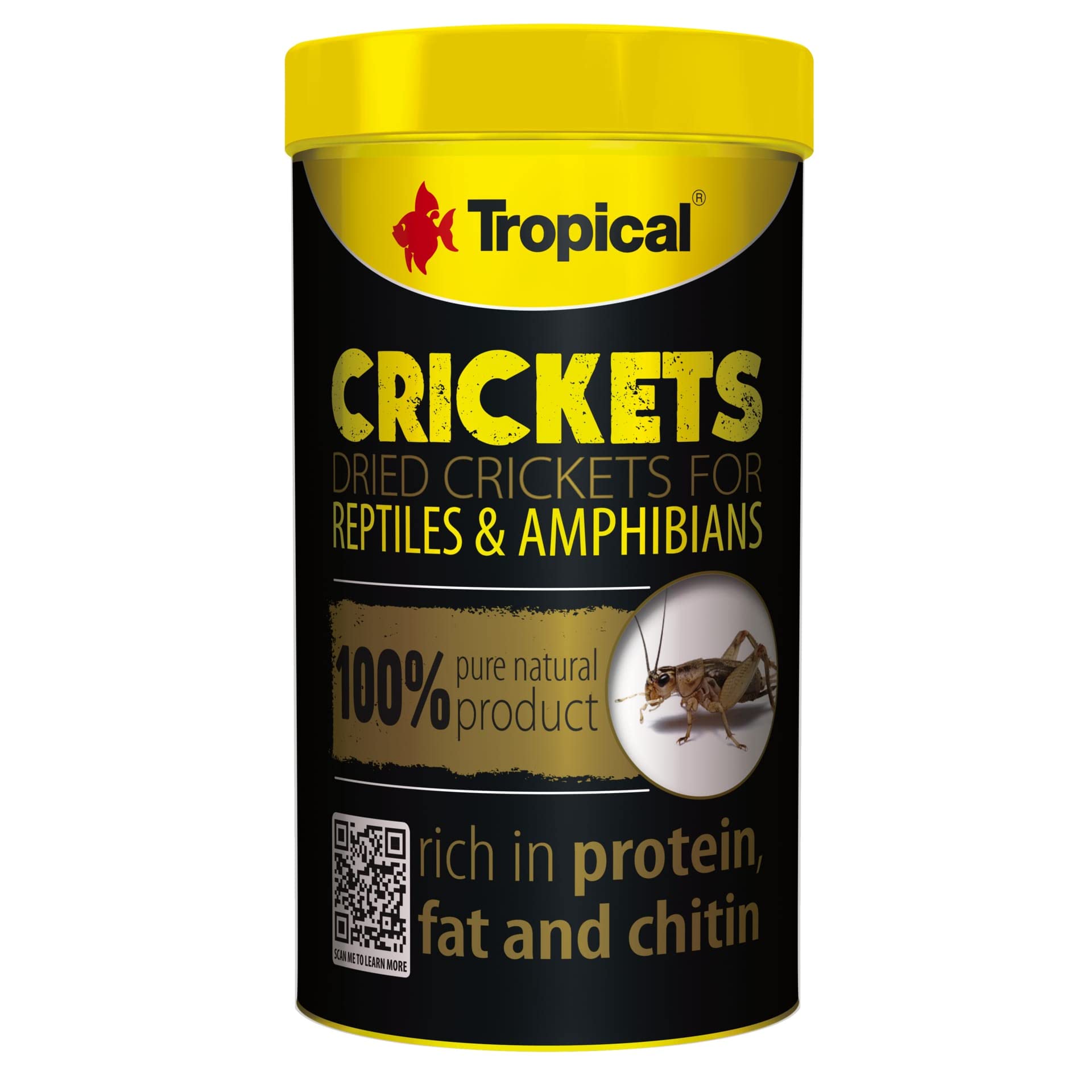 tropical-cichlid-red-green-stick-m-44-g-100-ml image 5
