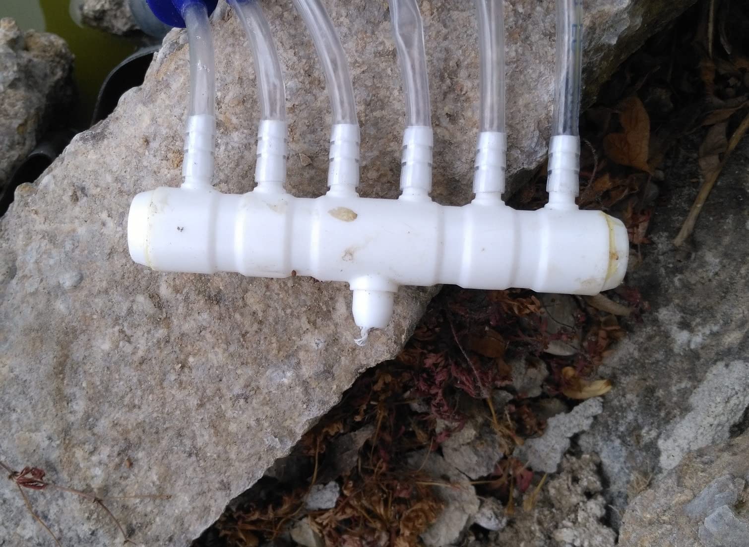 Rettung im heißen Sommer