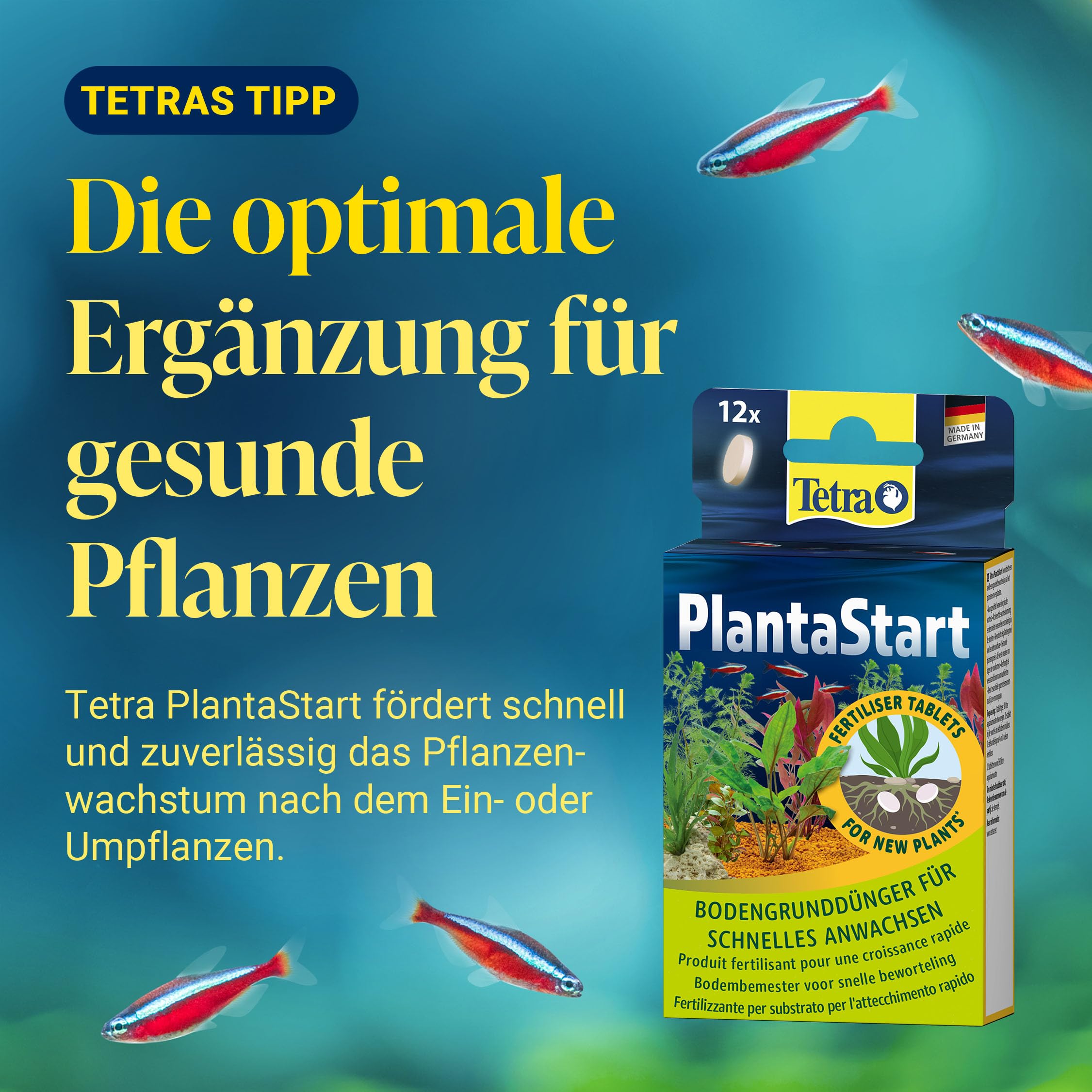 tetra-activesubstrate-pflanzenpflege-bodengrund-6-l image 7