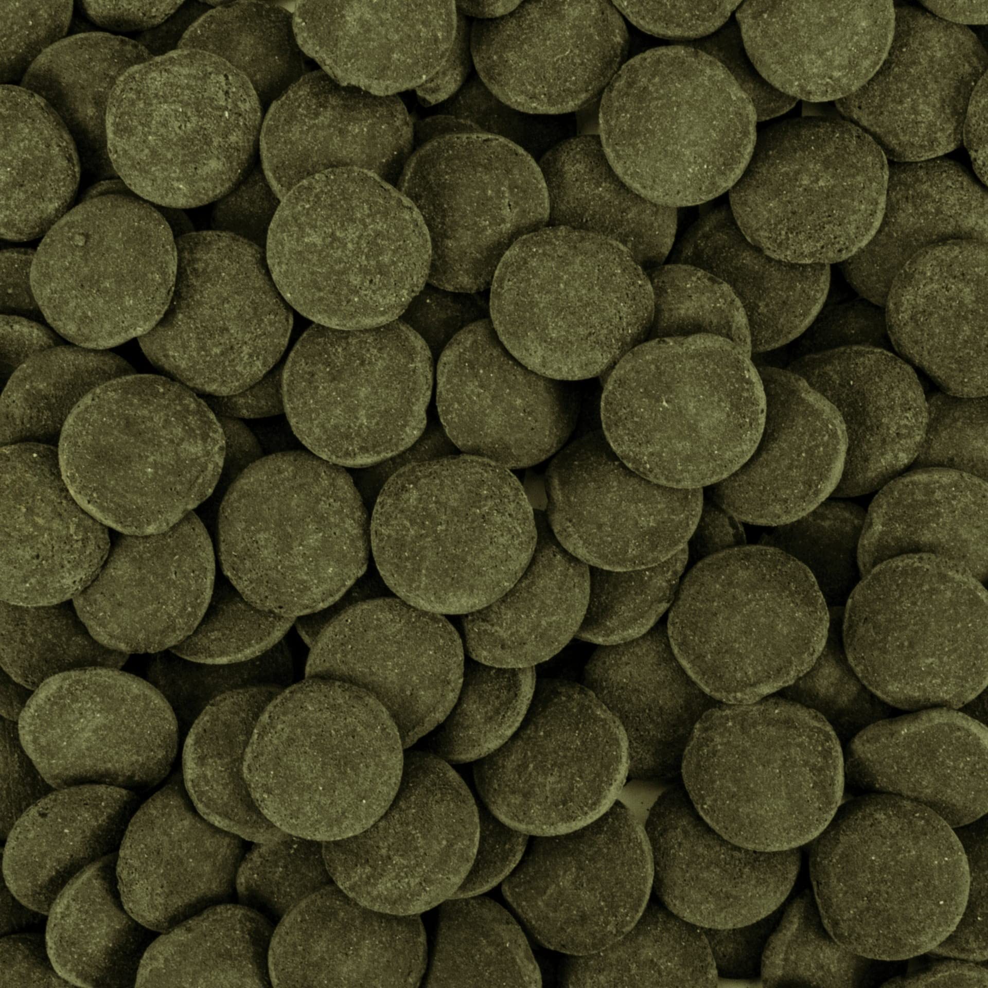 tropical-hi-algae-discs-xxl-3-l-sinkendes-algenfutter image 2