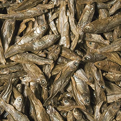tropical-dried-fish-alleinfutter-f-r-teich-und-wasserschildkr-ten-100-ml image 6