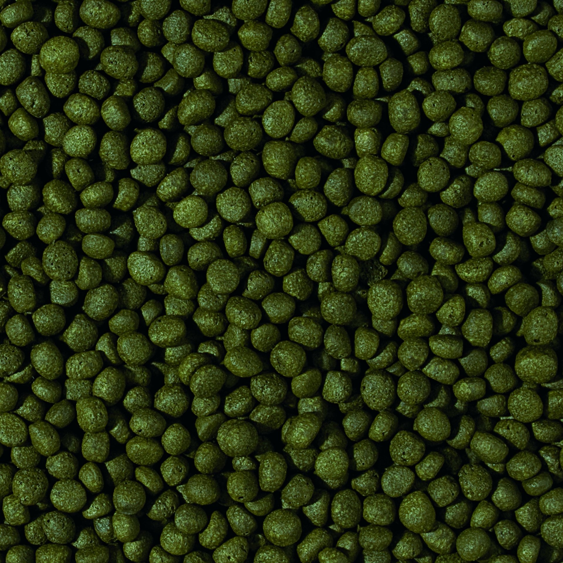 tropical-cichlid-herbivore-medium-pellet-pflanzenfutter-f-r-mittlere-und-gro-e-c image 2