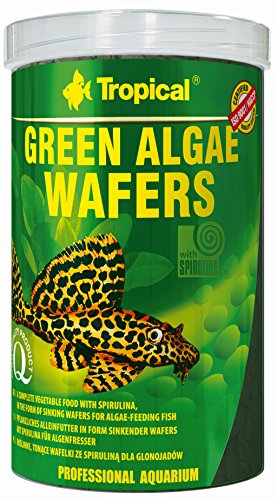 tropical-green-algae-wafers-welschips-250-ml-f-r-pflanzenfressende-bodenfische image 7