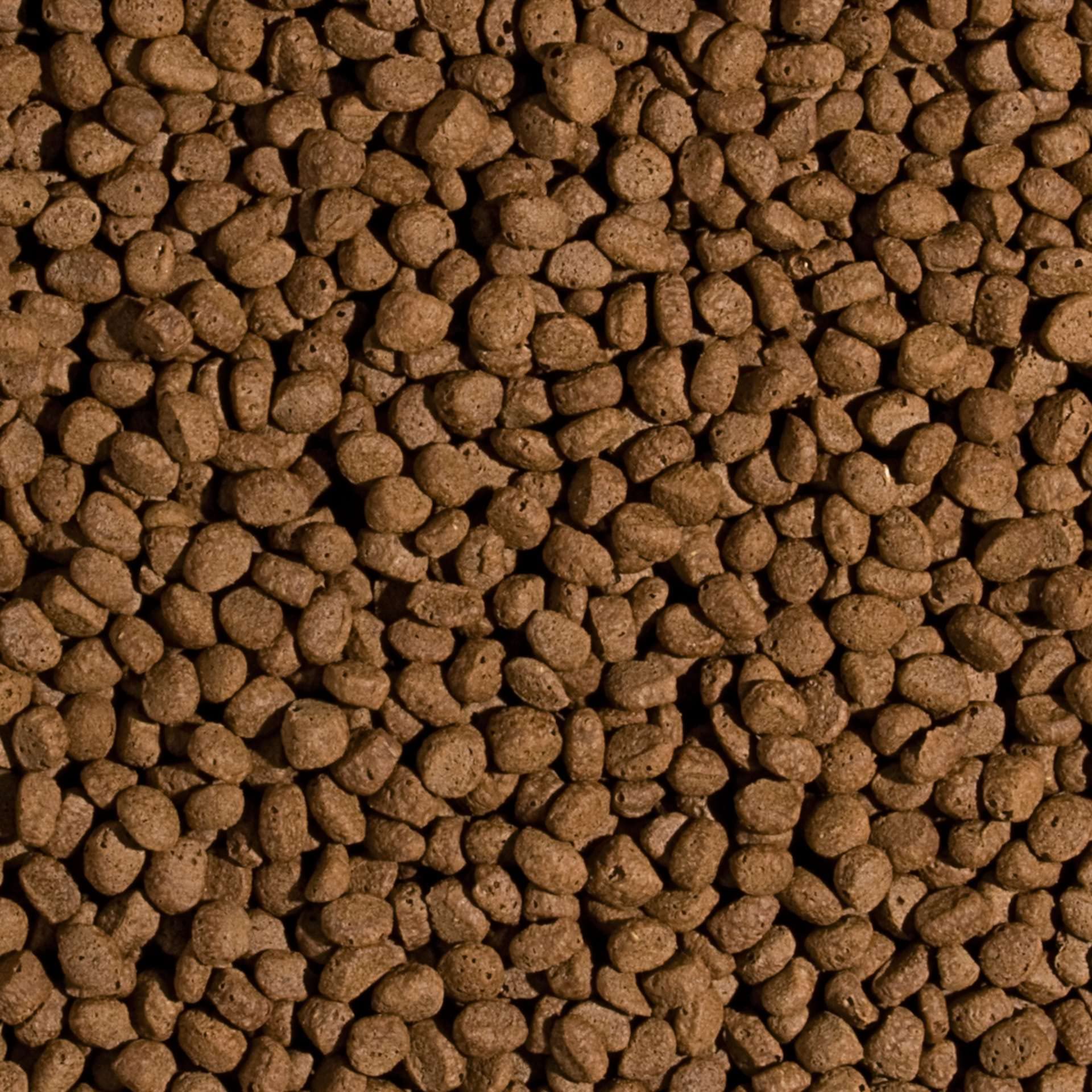 tropical-koi-wheat-germ-garlic-pellet-size-l-koi-teichfutter-8-30-c-7-kg image 2