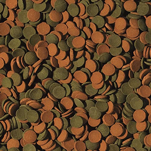 tropical-mini-wafers-mix-bodenfutter-90-g image 4