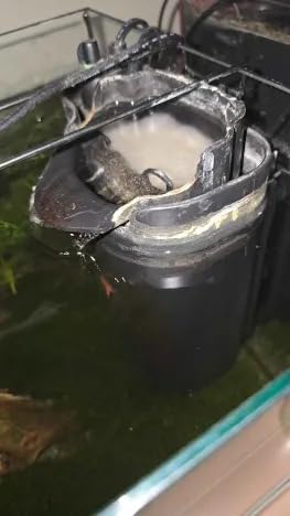 Flüsterleise und klares Wasser