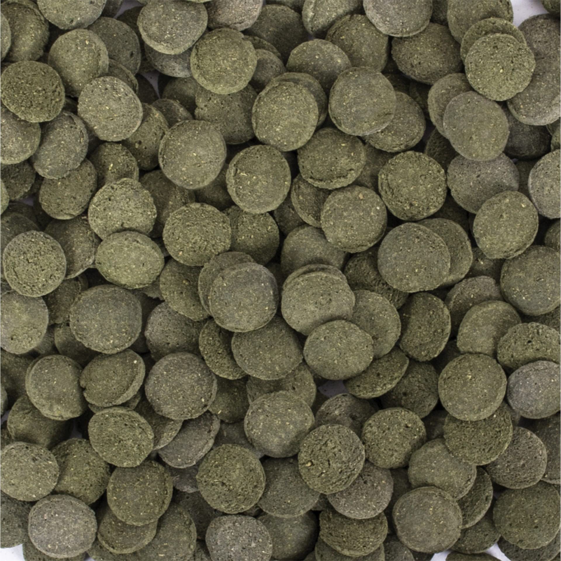 tropical-hi-algae-discs-1-cm-bodenfutter-3-l-f-r-bodenfische image 2
