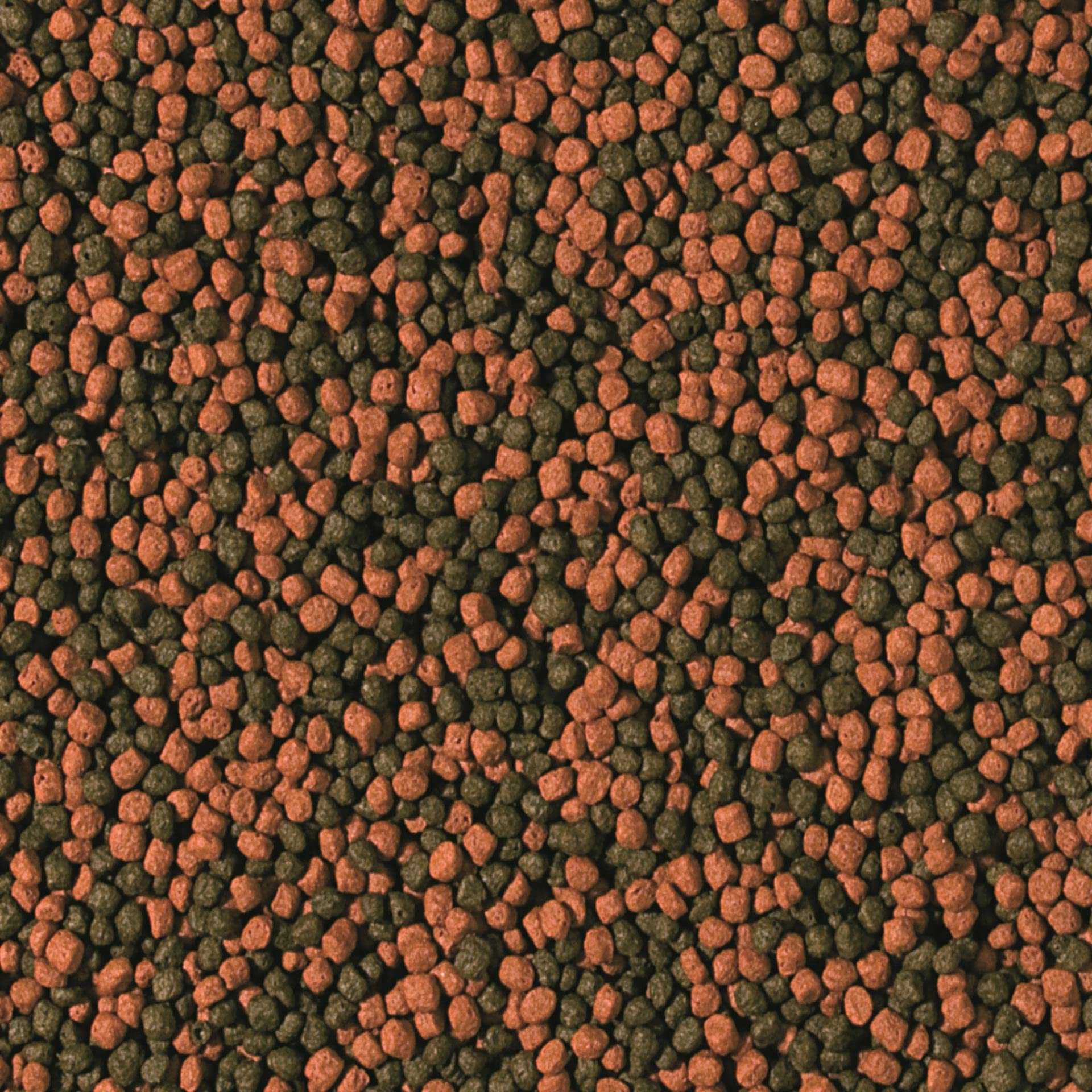 tropical-cichlid-omnivore-small-pellet-schwimmfutter-4-l image 2