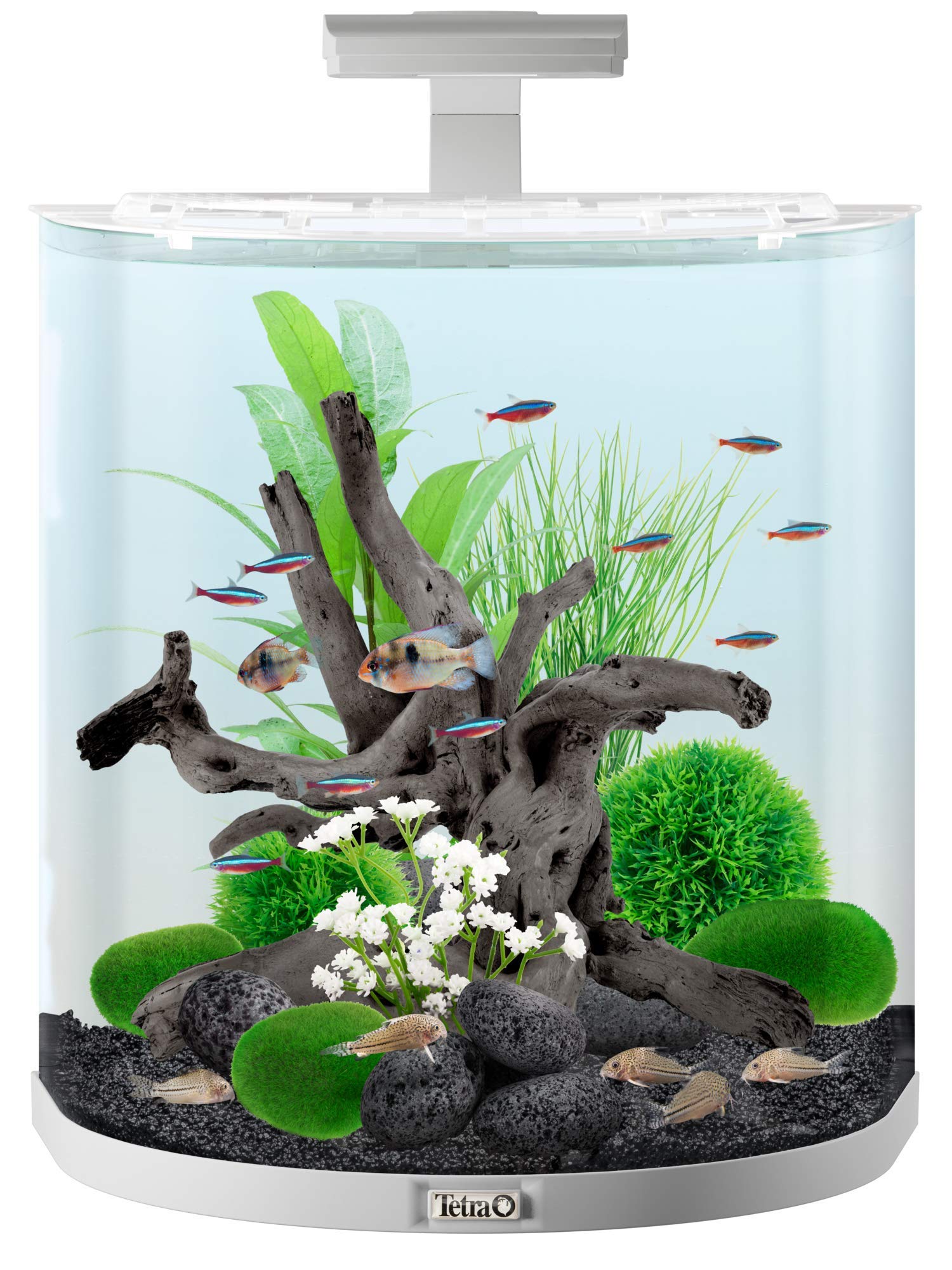 tetra-aquaart-explorer-line-aquarium-komplett-set-60l-wei image 2
