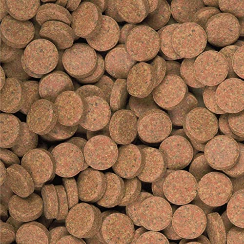 tropical-supervit-tablets-a-2000-g-haft-tabletten-fischfutter image 4