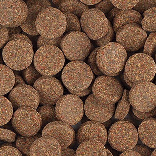 tropical-bl-staple-tablet-a-hauptfutter-hafttabletten-1-kg image 1